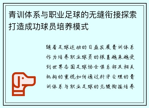 青训体系与职业足球的无缝衔接探索打造成功球员培养模式 青训体系与职业足球的无缝衔接探索打造成功球员培养模式